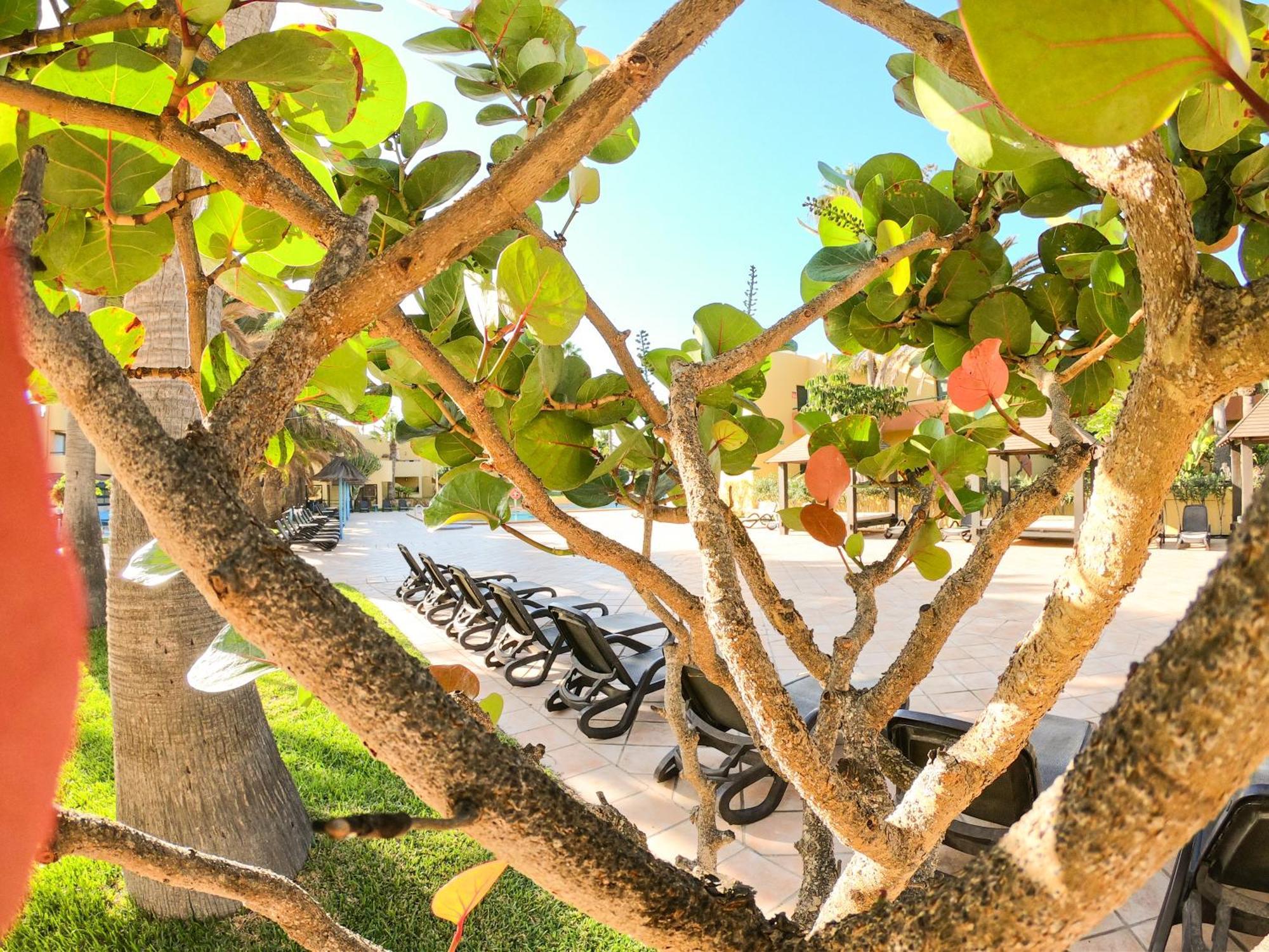 Appartement Drago 1 Atlantic Garden Corralejo